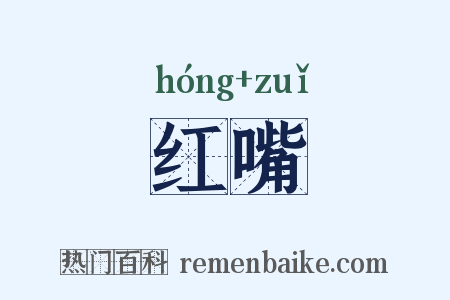 红嘴是什么意思的图片